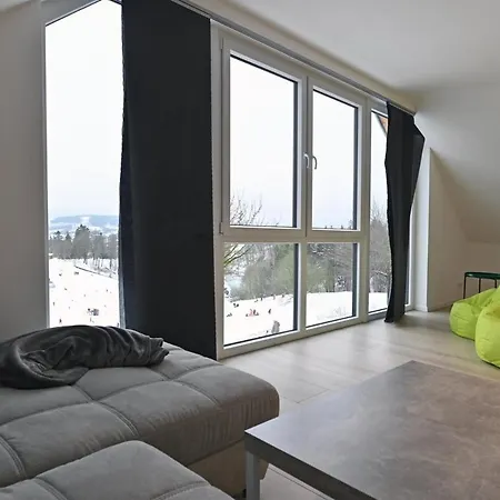 Harzeit 1e Mit Sauna Feriehus