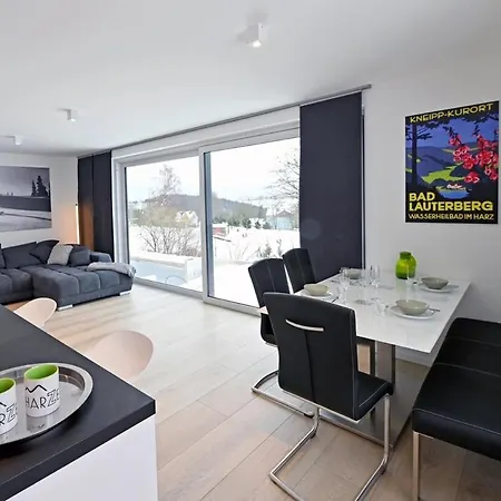 Harzeit 1e Mit Sauna Feriehus